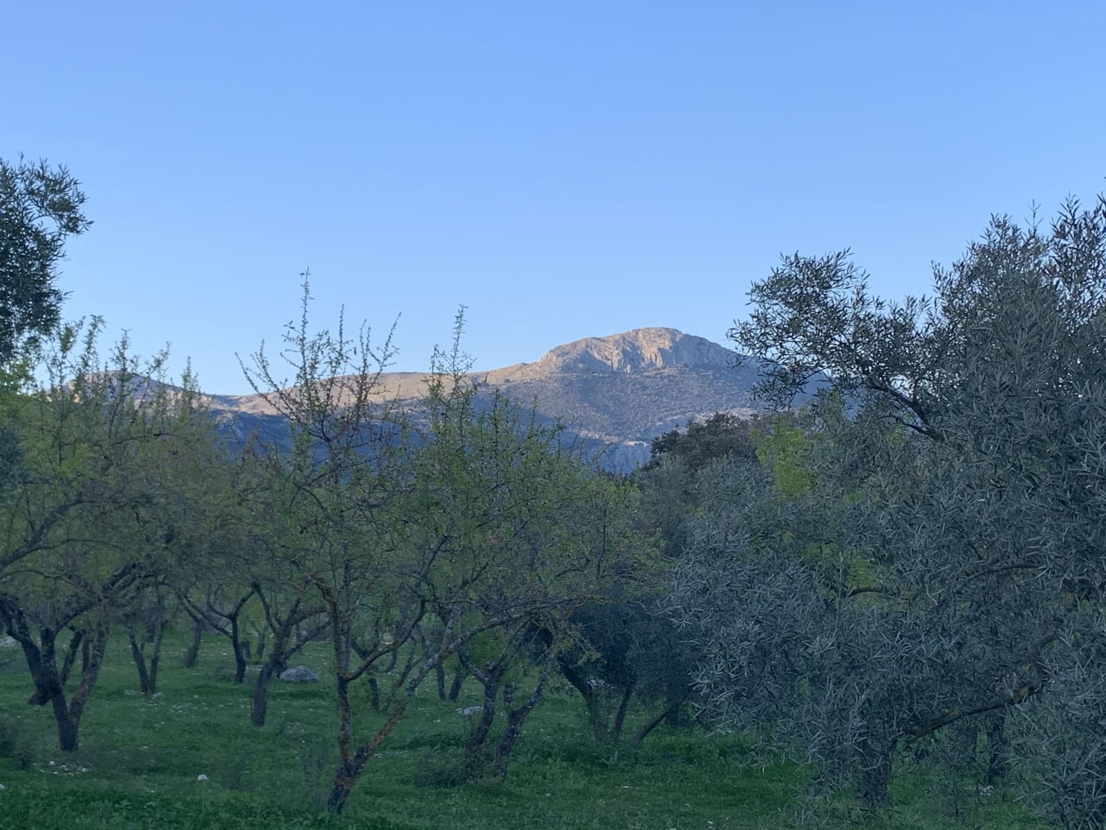 1 bedroom Finca/Country House for sale in Alfarnatejo with garage - € 92,900 (Ref: 9558838)