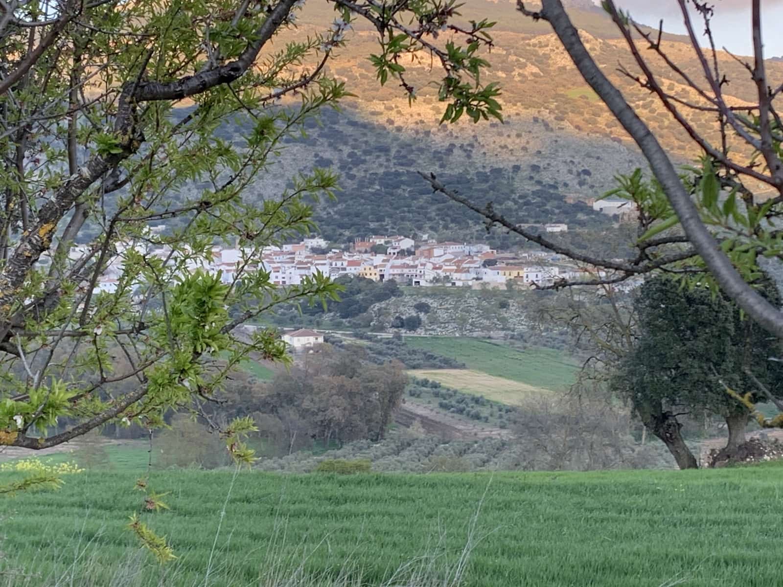 1 bedroom Finca/Country House for sale in Alfarnatejo with garage - € 92,900 (Ref: 9558838)