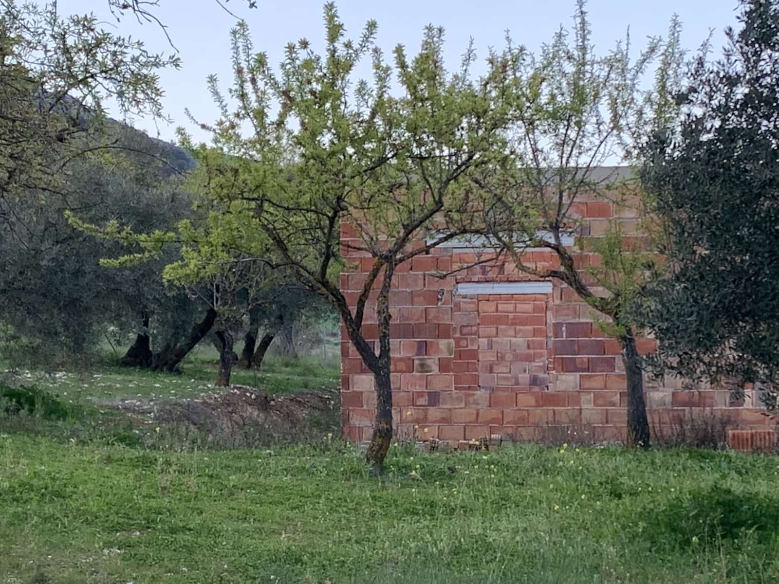 1 bedroom Finca/Country House for sale in Alfarnatejo with garage - € 92,900 (Ref: 9558838)