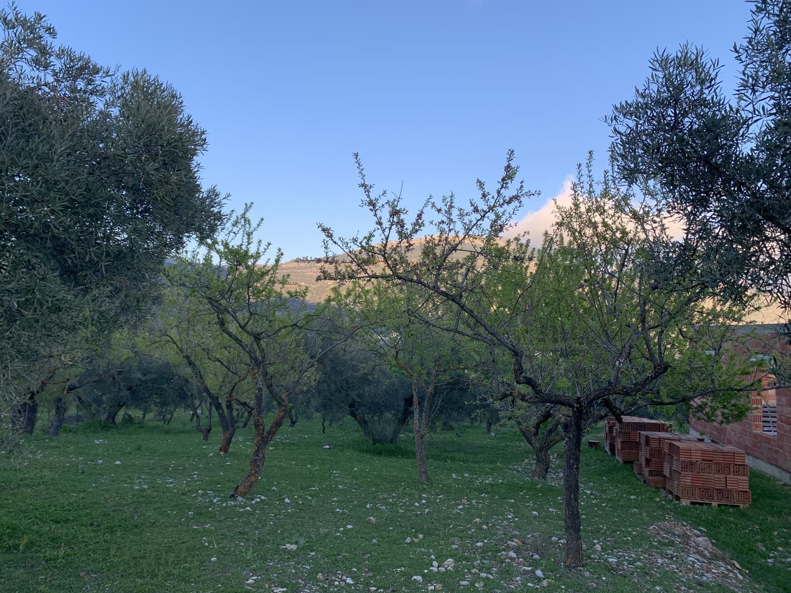 1 bedroom Finca/Country House for sale in Alfarnatejo with garage - € 92,900 (Ref: 9558838)