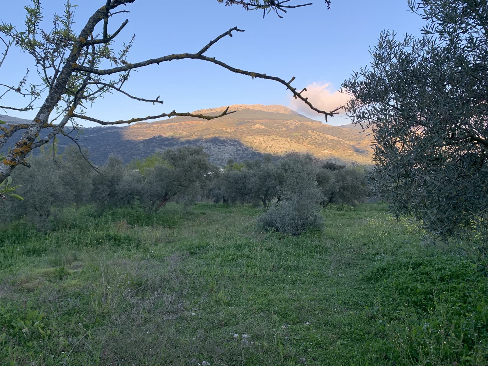 1 bedroom Finca/Country House for sale in Alfarnatejo with garage - € 92,900 (Ref: 9558838)