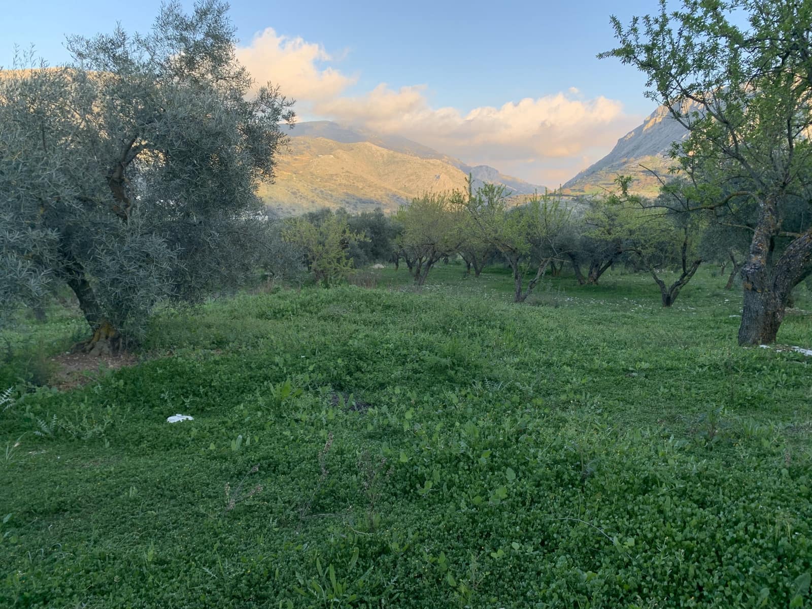 1 bedroom Finca/Country House for sale in Alfarnatejo with garage - € 92,900 (Ref: 9558838)