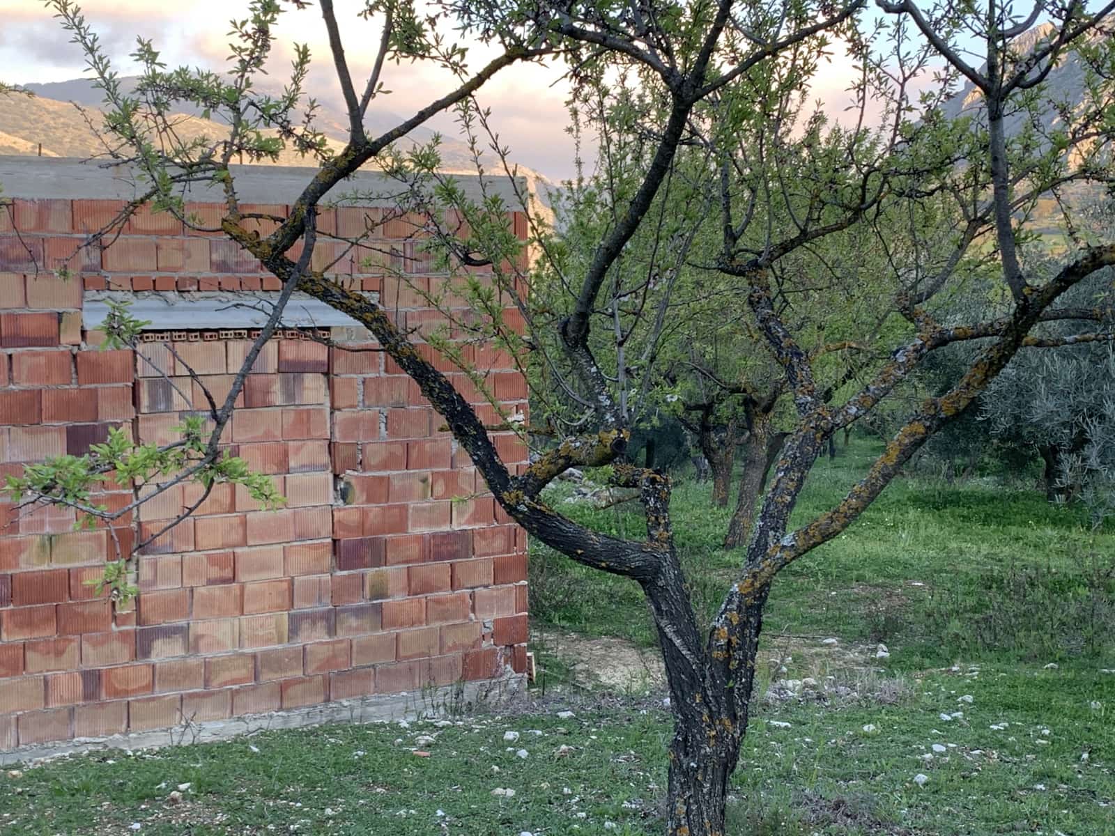 1 bedroom Finca/Country House for sale in Alfarnatejo with garage - € 92,900 (Ref: 9558838)