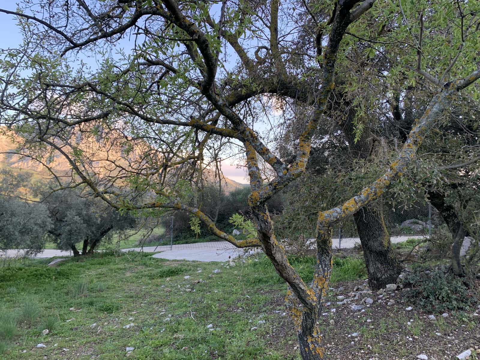 1 bedroom Finca/Country House for sale in Alfarnatejo with garage - € 92,900 (Ref: 9558838)