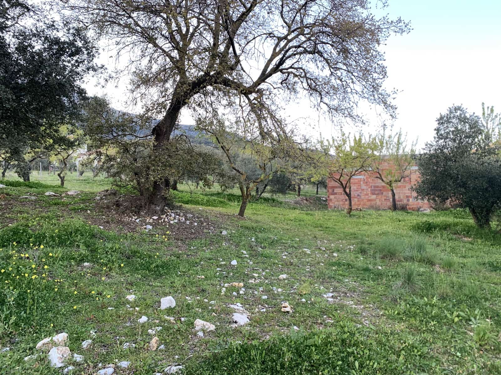 1 bedroom Finca/Country House for sale in Alfarnatejo with garage - € 92,900 (Ref: 9558838)