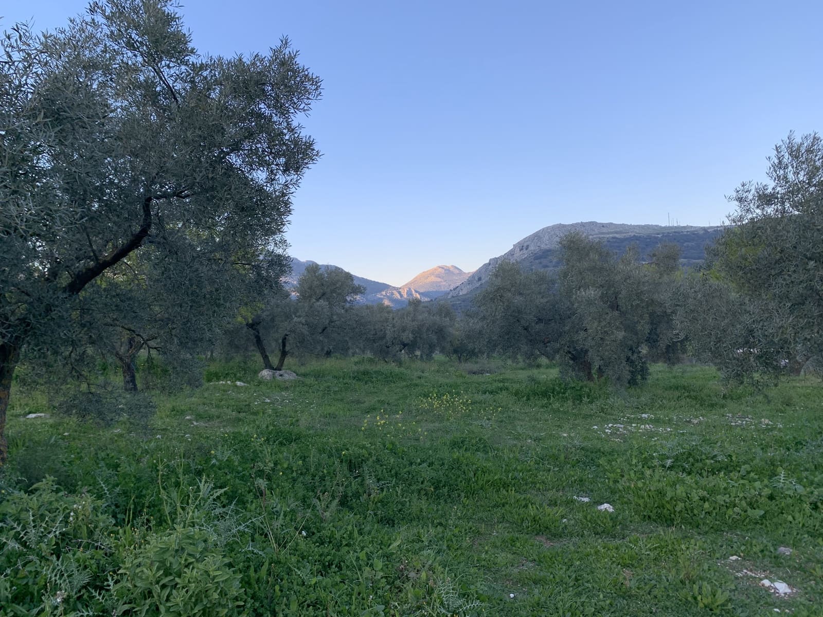 1 bedroom Finca/Country House for sale in Alfarnatejo with garage - € 92,900 (Ref: 9558838)