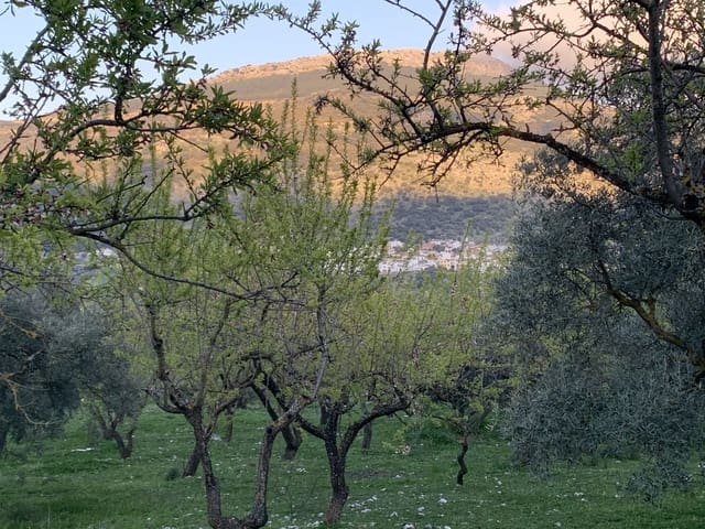 1 sovrum Finca/Hus på landet till salu i Alfarnatejo med garage - 92 900 € (Ref: 9558838)