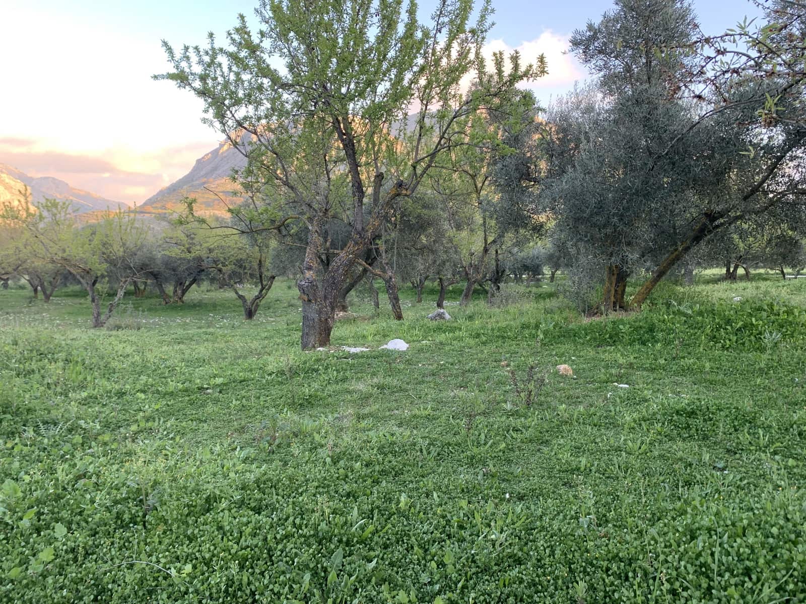 1 bedroom Finca/Country House for sale in Alfarnatejo with garage - € 92,900 (Ref: 9558838)