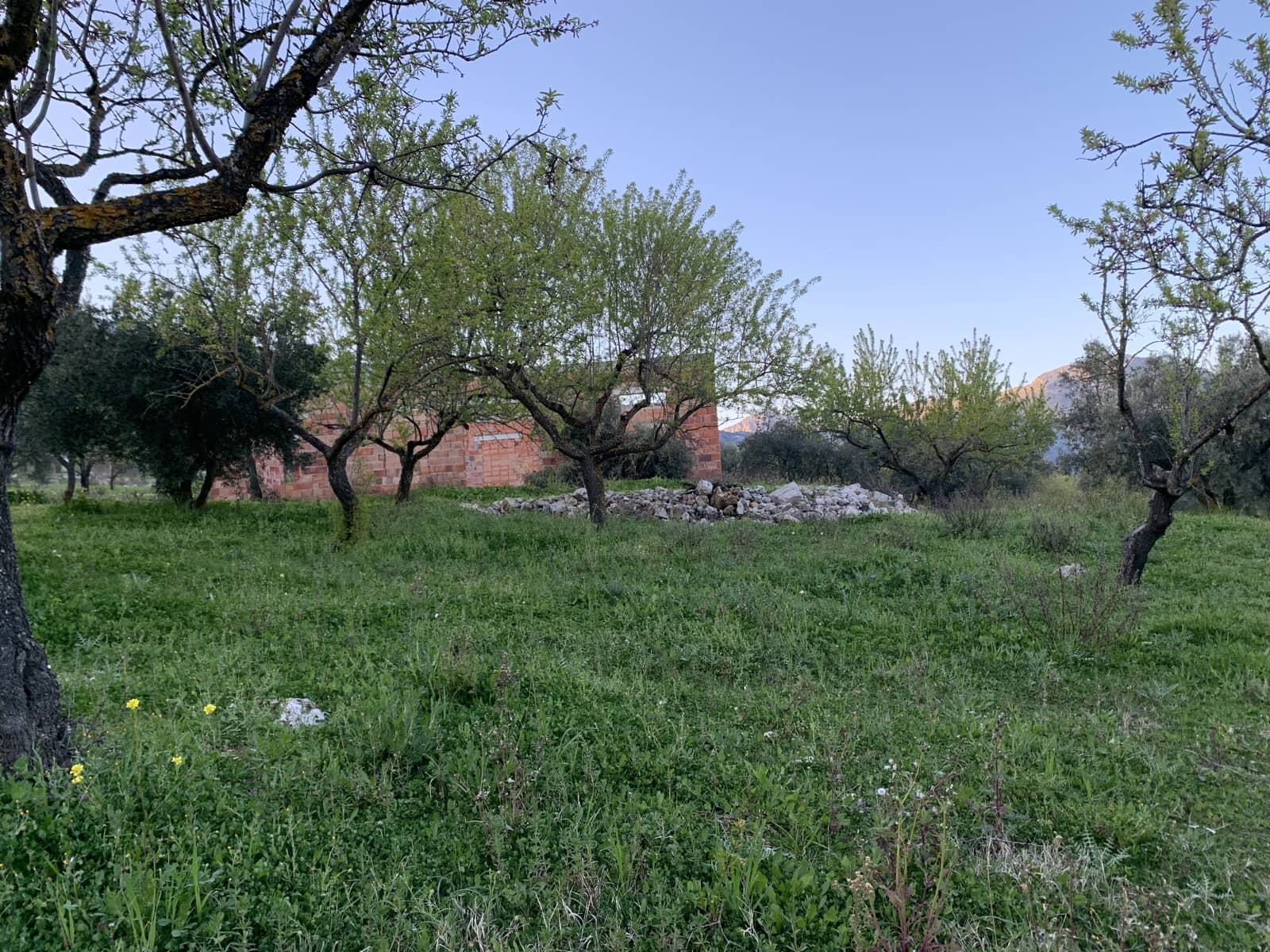 1 bedroom Finca/Country House for sale in Alfarnatejo with garage - € 92,900 (Ref: 9558838)