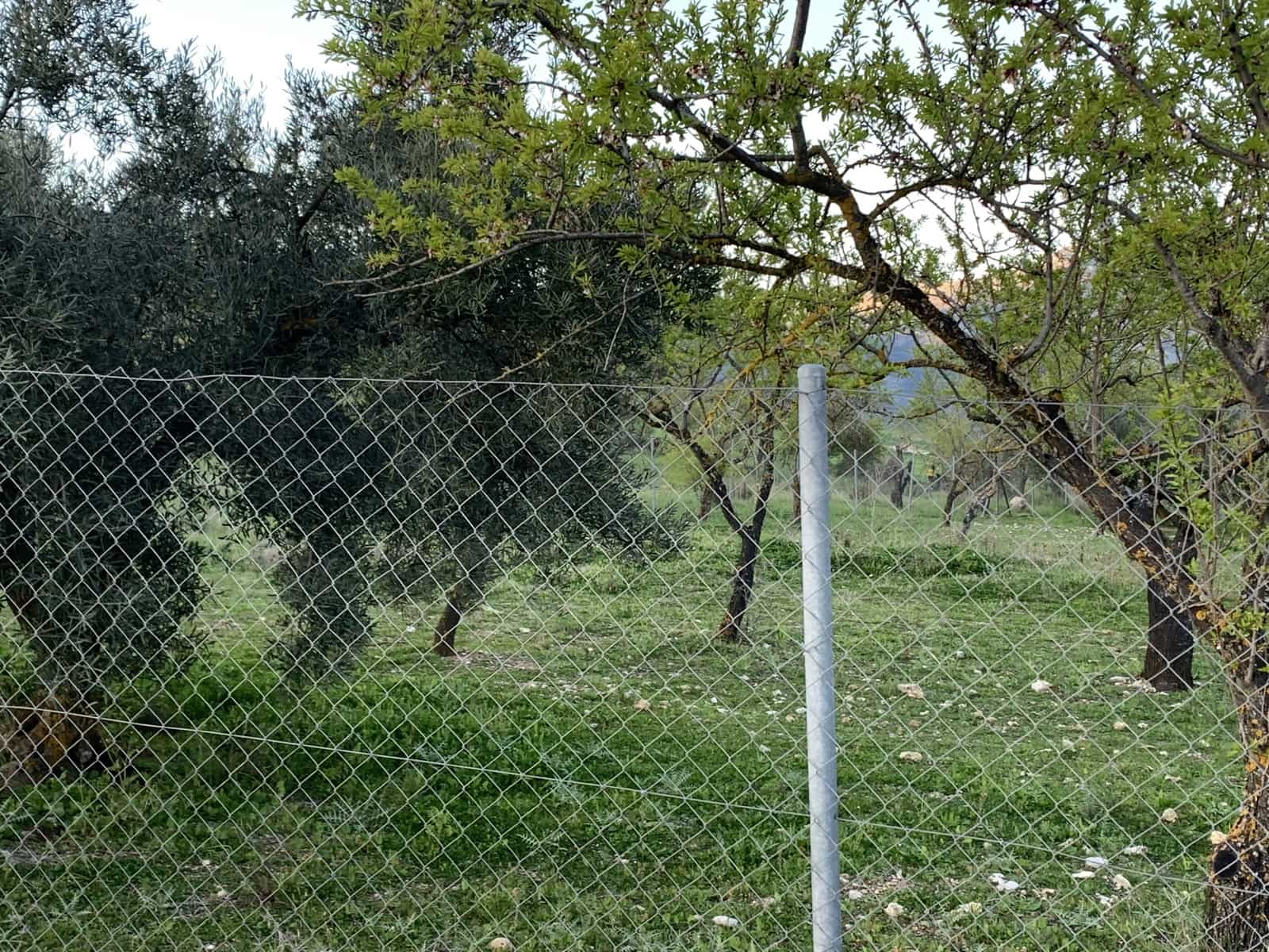 1 bedroom Finca/Country House for sale in Alfarnatejo with garage - € 92,900 (Ref: 9558838)