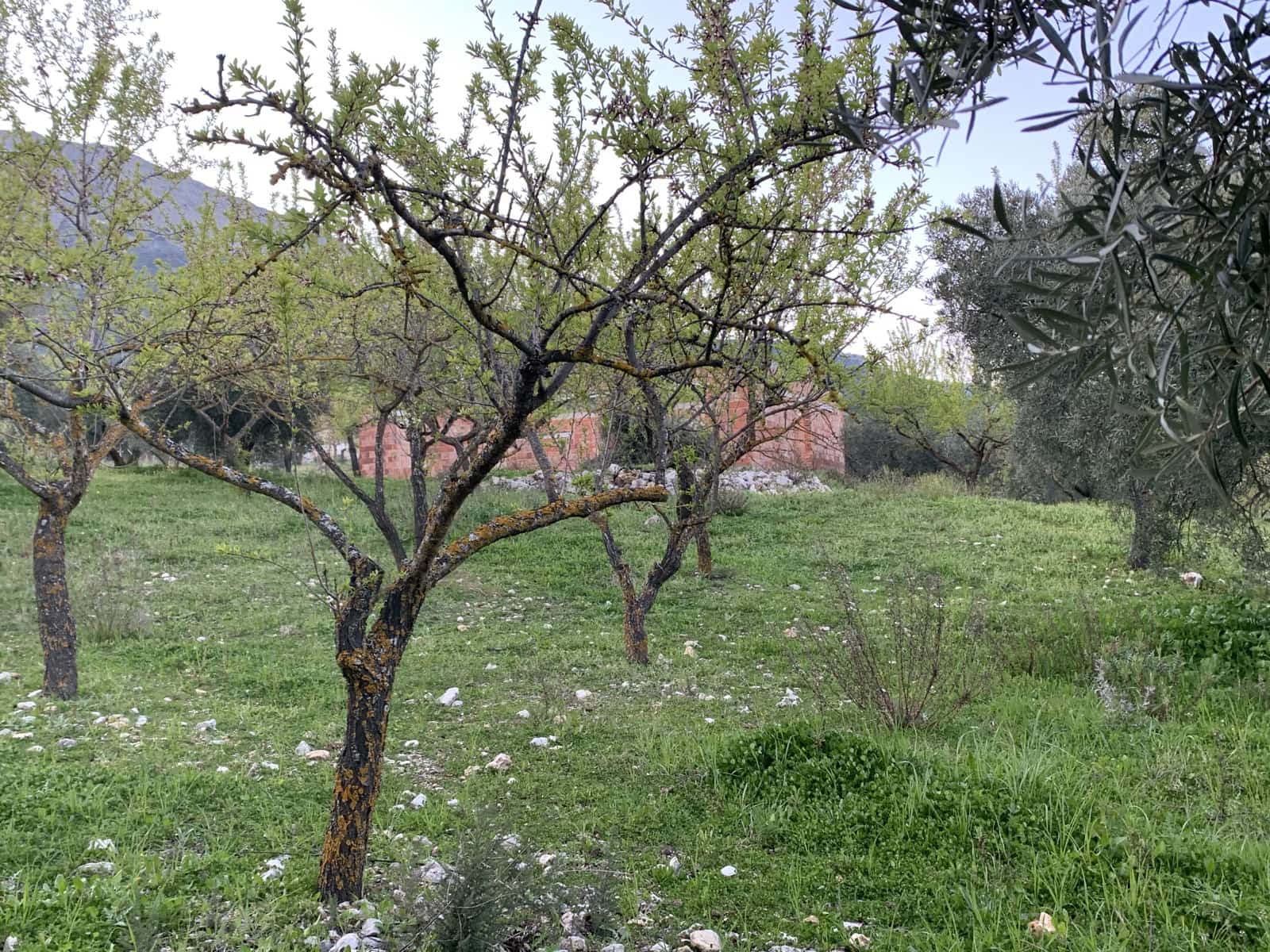 1 bedroom Finca/Country House for sale in Alfarnatejo with garage - € 92,900 (Ref: 9558838)