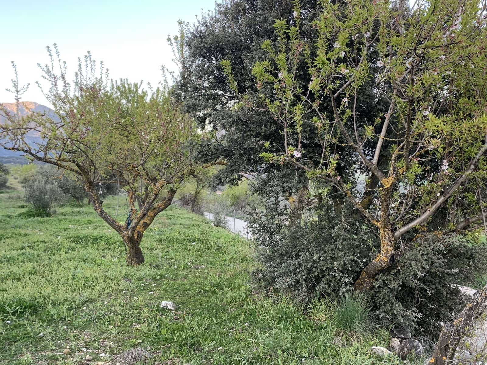 1 bedroom Finca/Country House for sale in Alfarnatejo with garage - € 92,900 (Ref: 9558838)