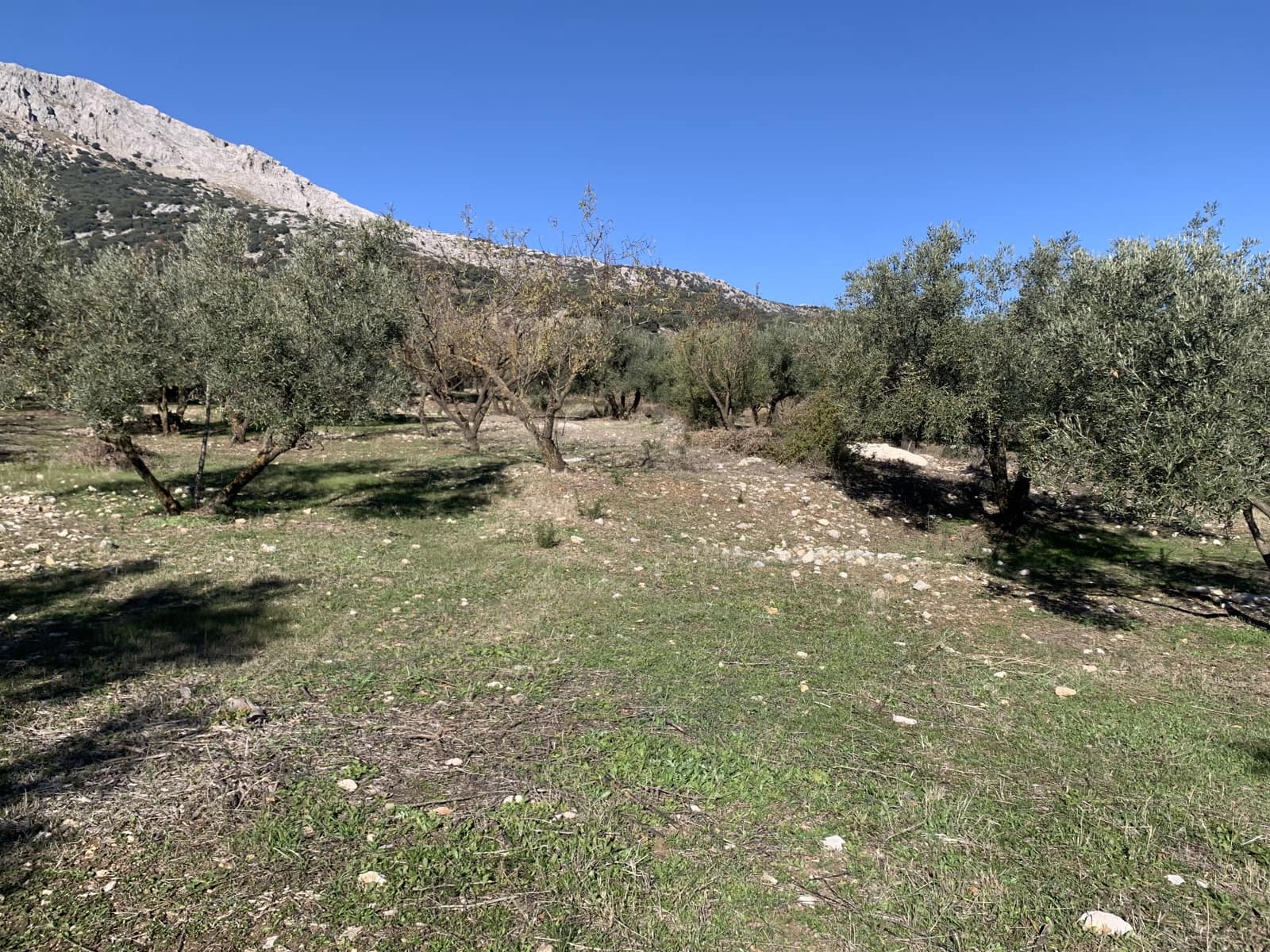1 bedroom Finca/Country House for sale in Alfarnatejo with garage - € 92,900 (Ref: 9558838)