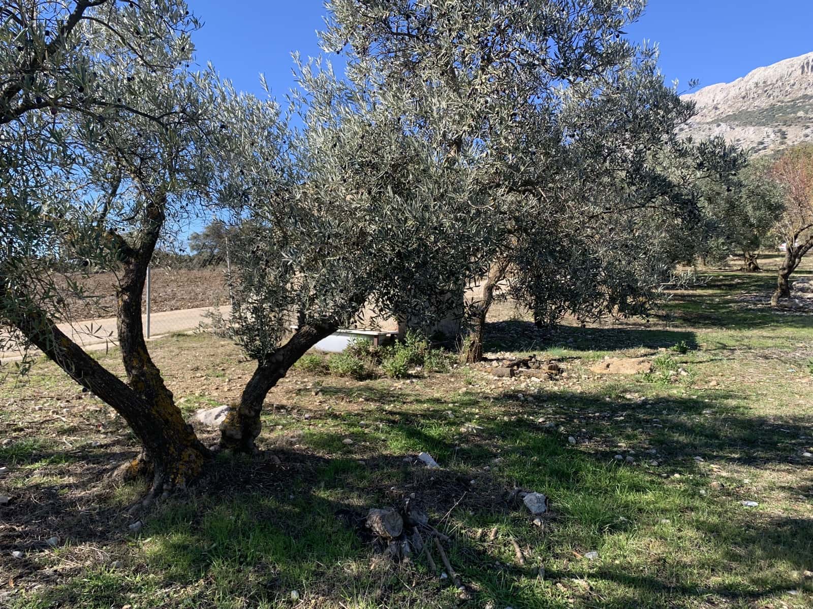 1 bedroom Finca/Country House for sale in Alfarnatejo with garage - € 92,900 (Ref: 9558838)