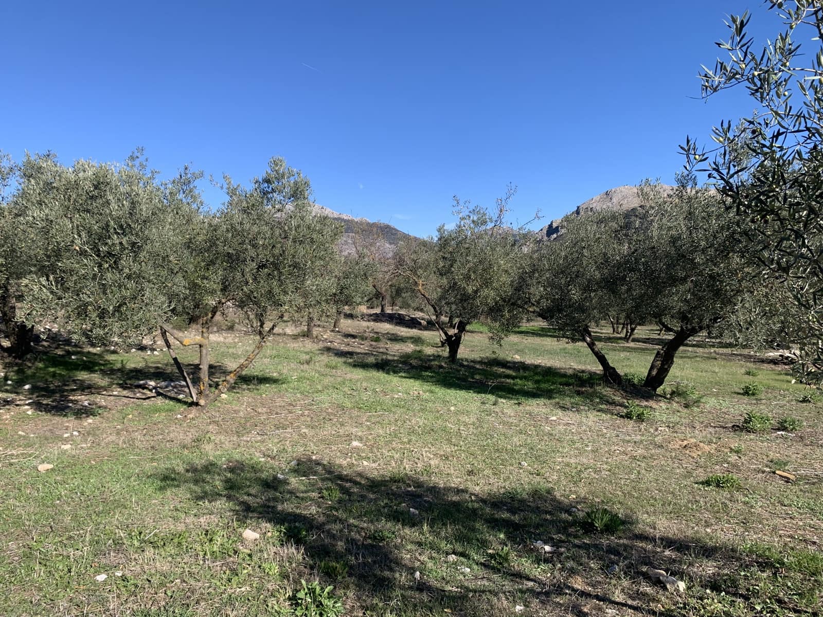 1 bedroom Finca/Country House for sale in Alfarnatejo with garage - € 92,900 (Ref: 9558838)