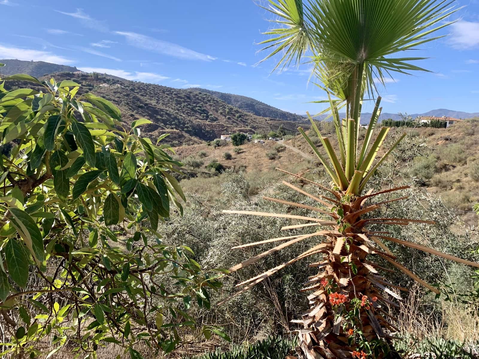 4 soveværelse Villa til salg i Canillas de Aceituno med garage - € 270.000 (Ref: 9558840)