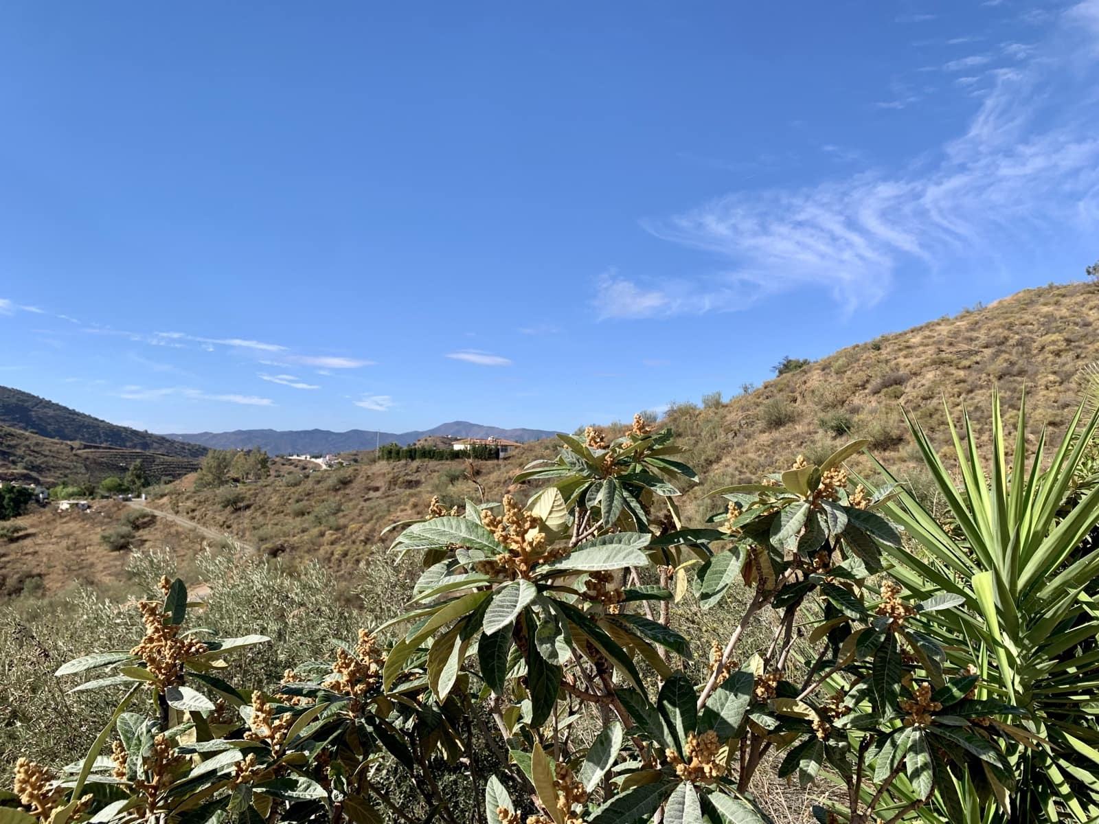 4 soveværelse Villa til salg i Canillas de Aceituno med garage - € 270.000 (Ref: 9558840)