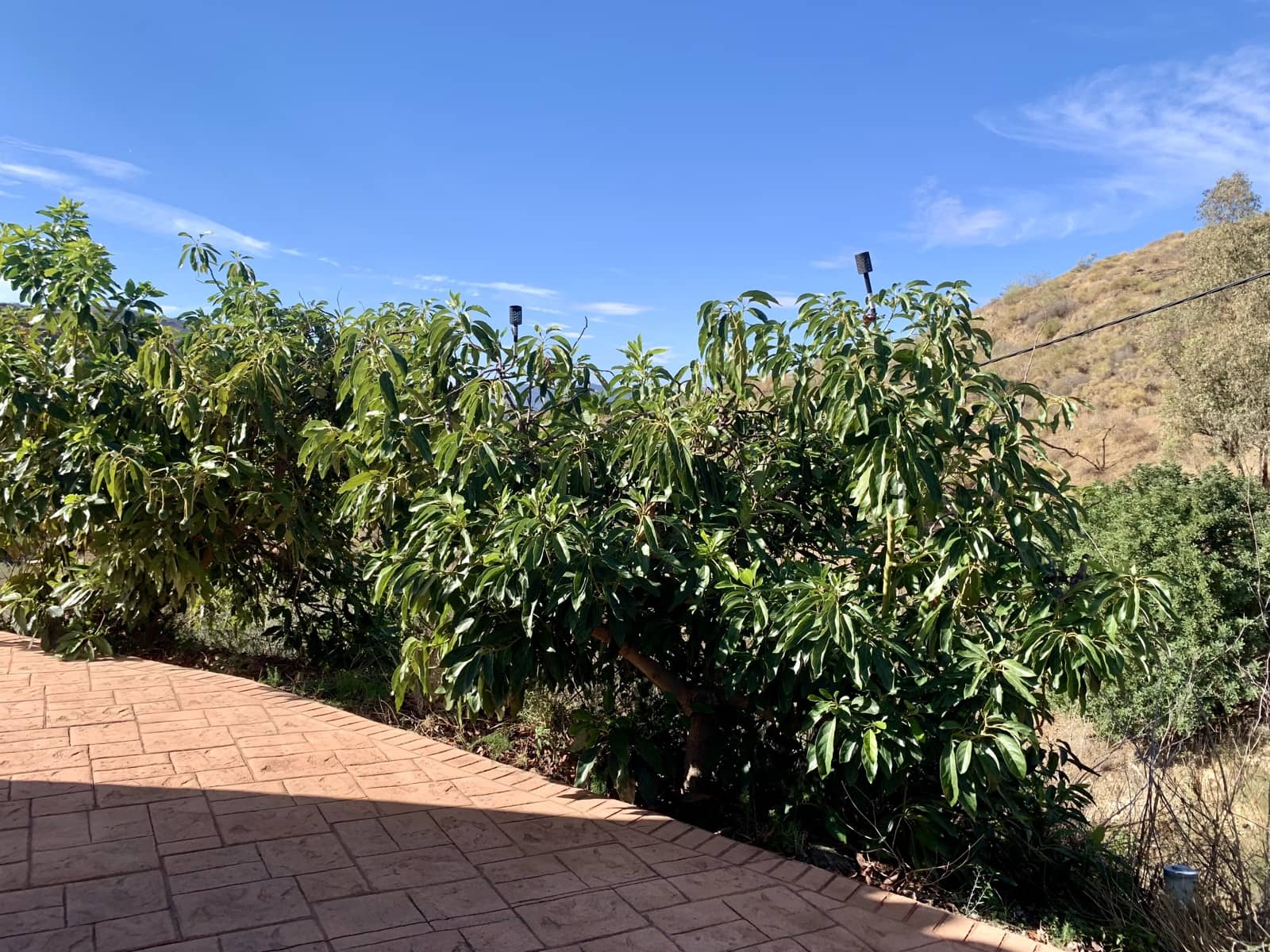 4 soveværelse Villa til salg i Canillas de Aceituno med garage - € 270.000 (Ref: 9558840)