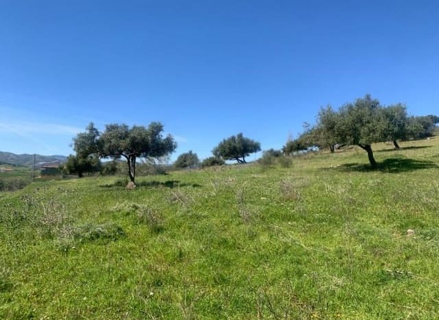 1 soverom Finca/Herregård til salgs i Venta Baja, Alcaucín med garasje - € 245 000 (Ref: 9558848)