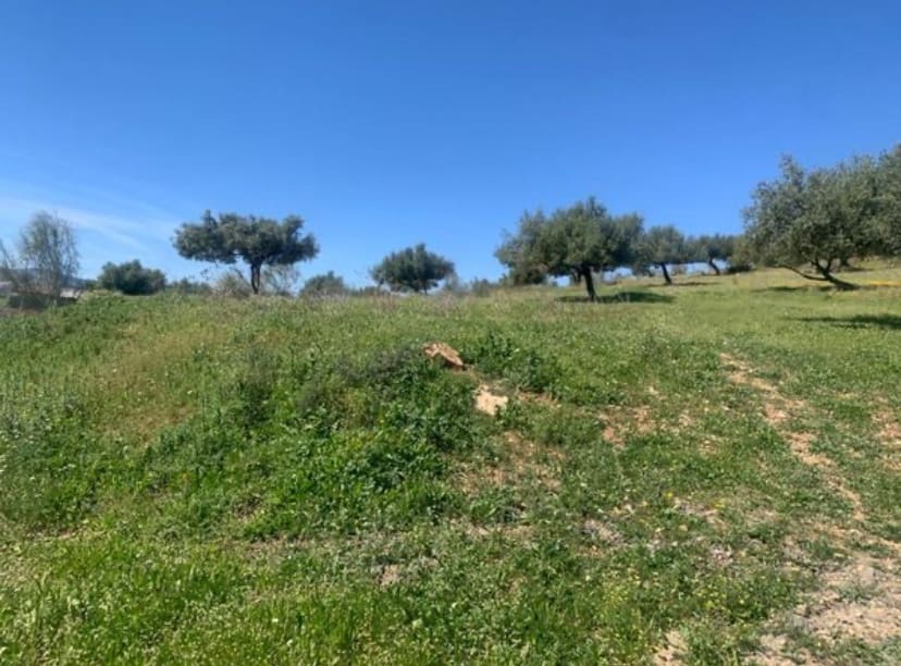 1 bedroom Finca/Country House for sale in Venta Baja with garage - € 245,000 (Ref: 9558848)