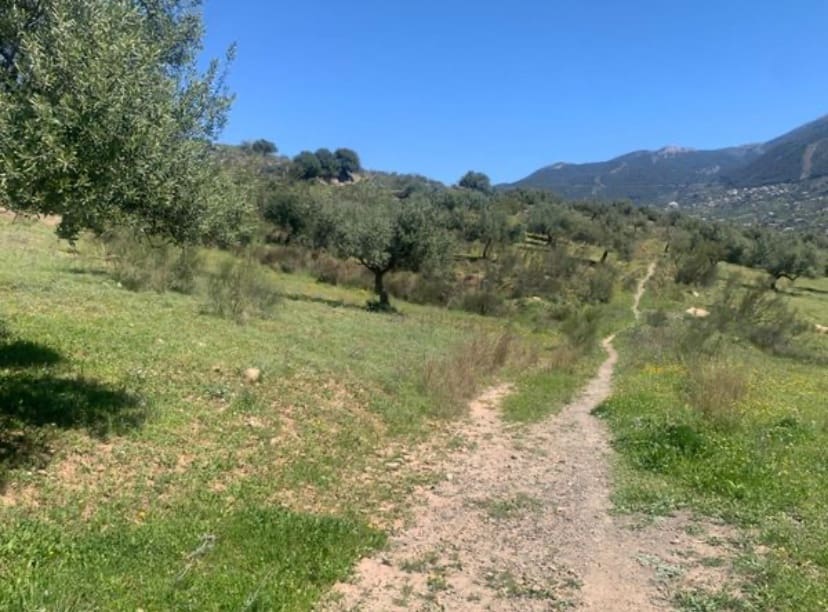 1 bedroom Finca/Country House for sale in Venta Baja with garage - € 245,000 (Ref: 9558848)