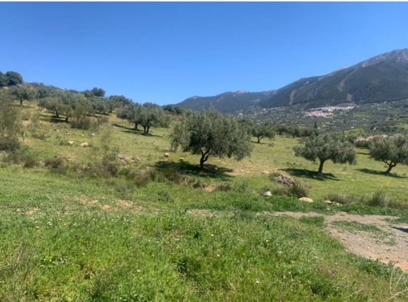 1 bedroom Finca/Country House for sale in Venta Baja with garage - € 245,000 (Ref: 9558848)