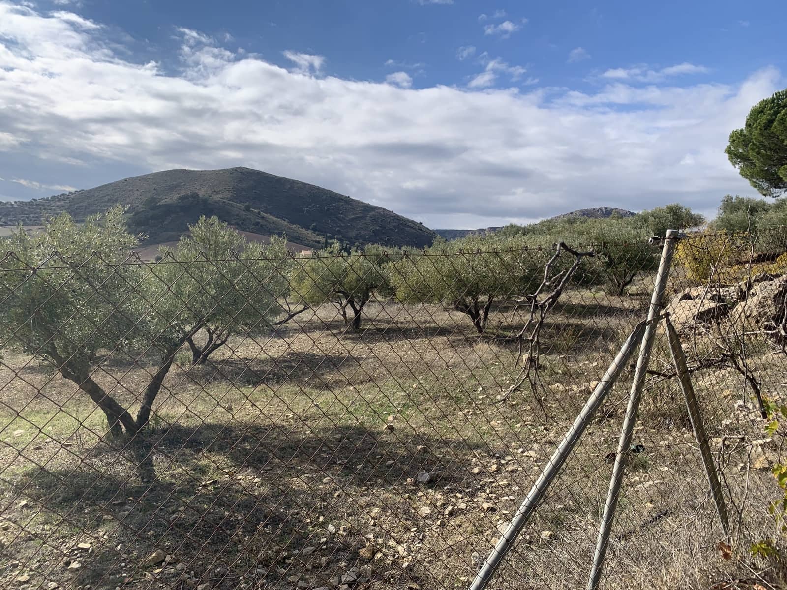 4 soveværelse Villa til salg i Alcaucin med garage - € 250.000 (Ref: 9558849)