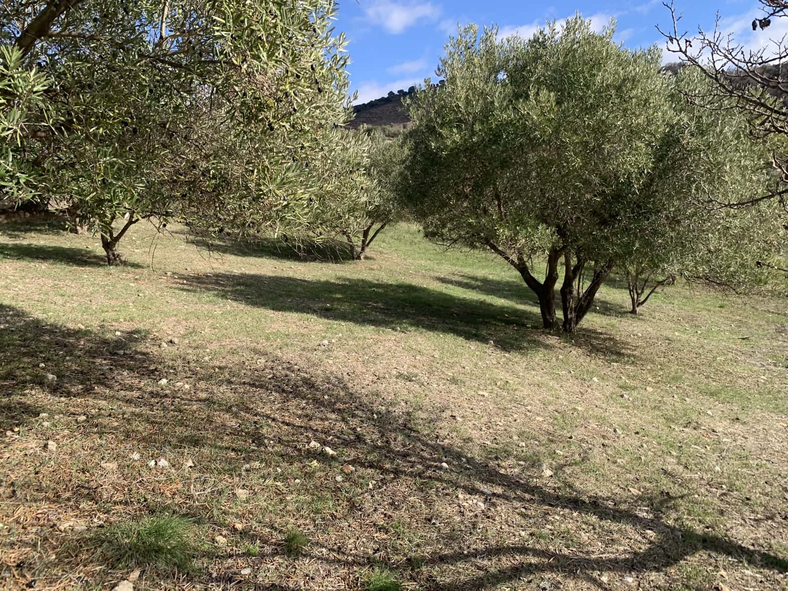 4 soveværelse Villa til salg i Alcaucin med garage - € 250.000 (Ref: 9558849)