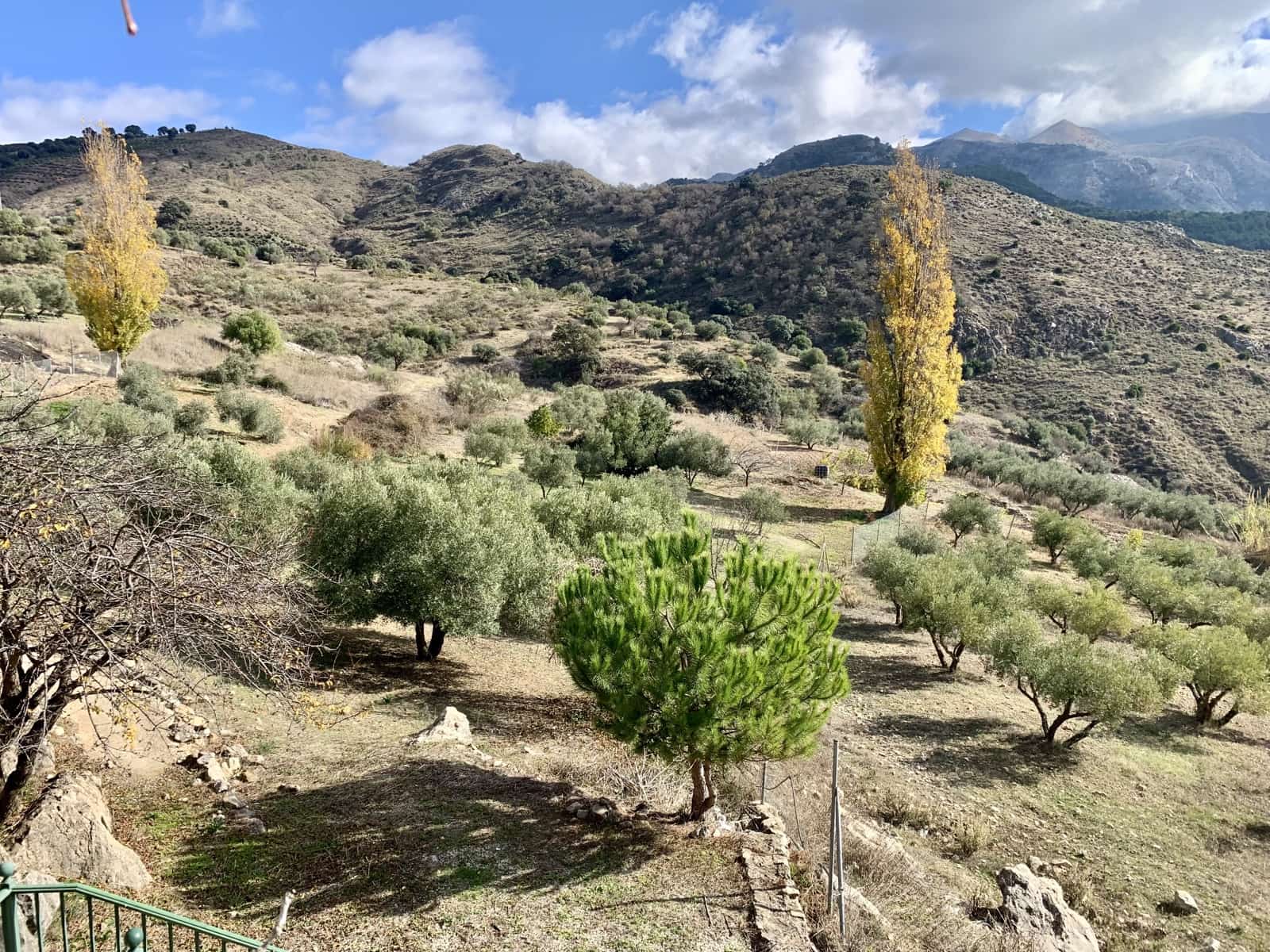 4 soveværelse Villa til salg i Alcaucin med garage - € 250.000 (Ref: 9558849)