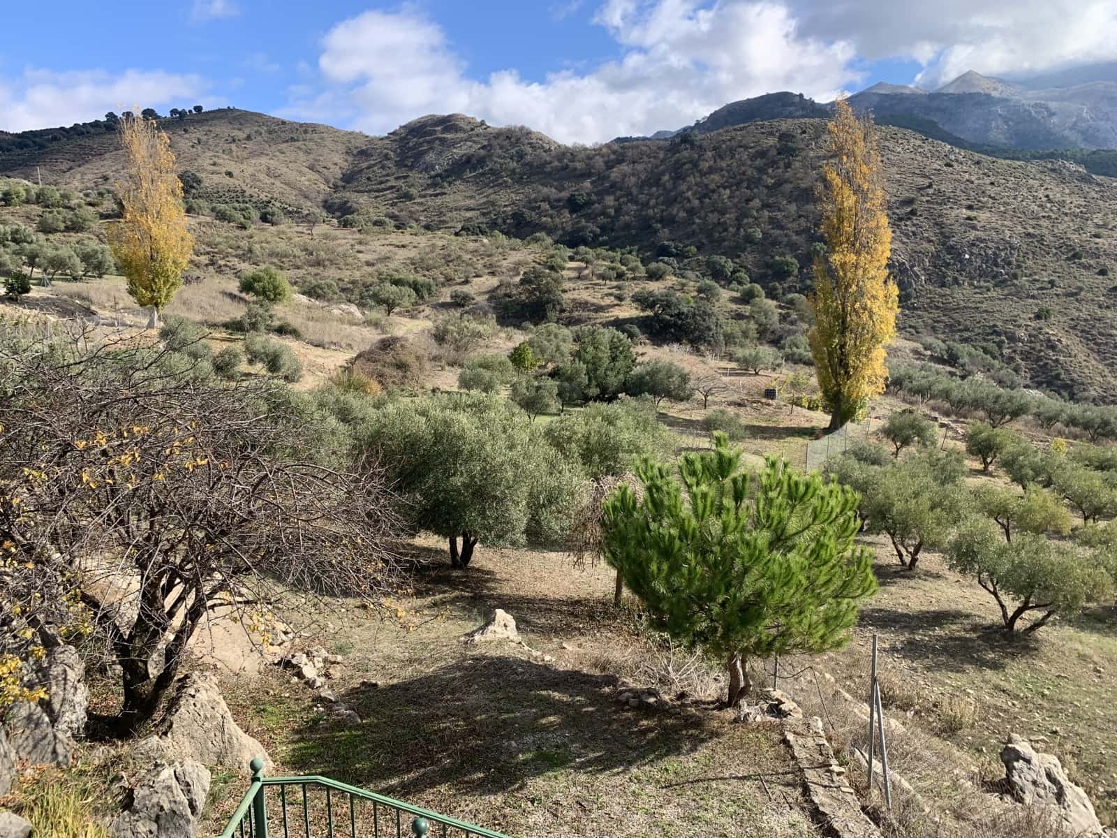 4 soveværelse Villa til salg i Alcaucin med garage - € 250.000 (Ref: 9558849)