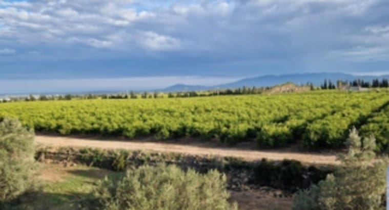 9 soveværelse Villa til salg i Roquetes med swimmingpool garage - € 1.925.000 (Ref: 9558853)