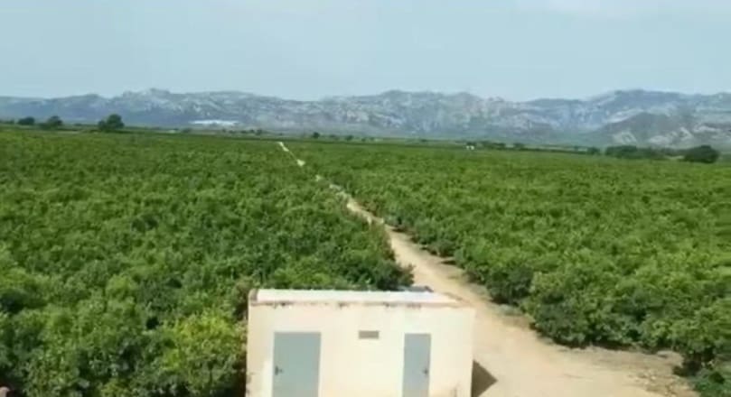 9 soveværelse Villa til salg i Roquetes med swimmingpool garage - € 1.925.000 (Ref: 9558853)