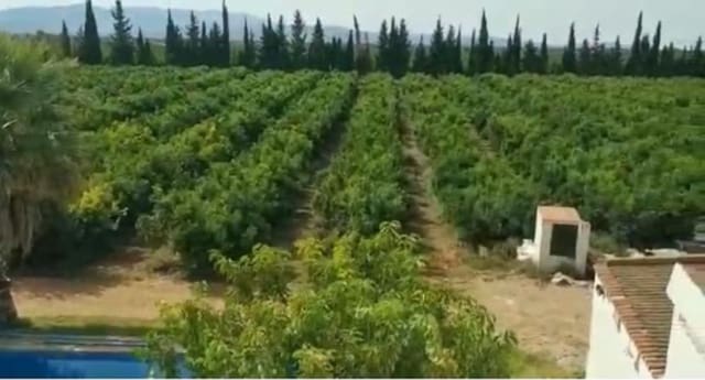 9 soveværelse Villa til salg i Roquetes med swimmingpool garage - € 1.925.000 (Ref: 9558853)