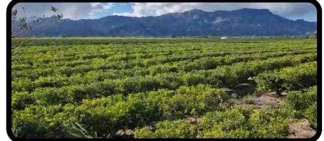 9 soveværelse Villa til salg i Roquetes med swimmingpool garage - € 1.925.000 (Ref: 9558853)