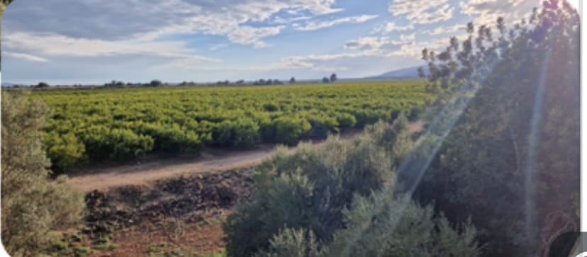 9 soveværelse Villa til salg i Roquetes med swimmingpool garage - € 1.925.000 (Ref: 9558853)