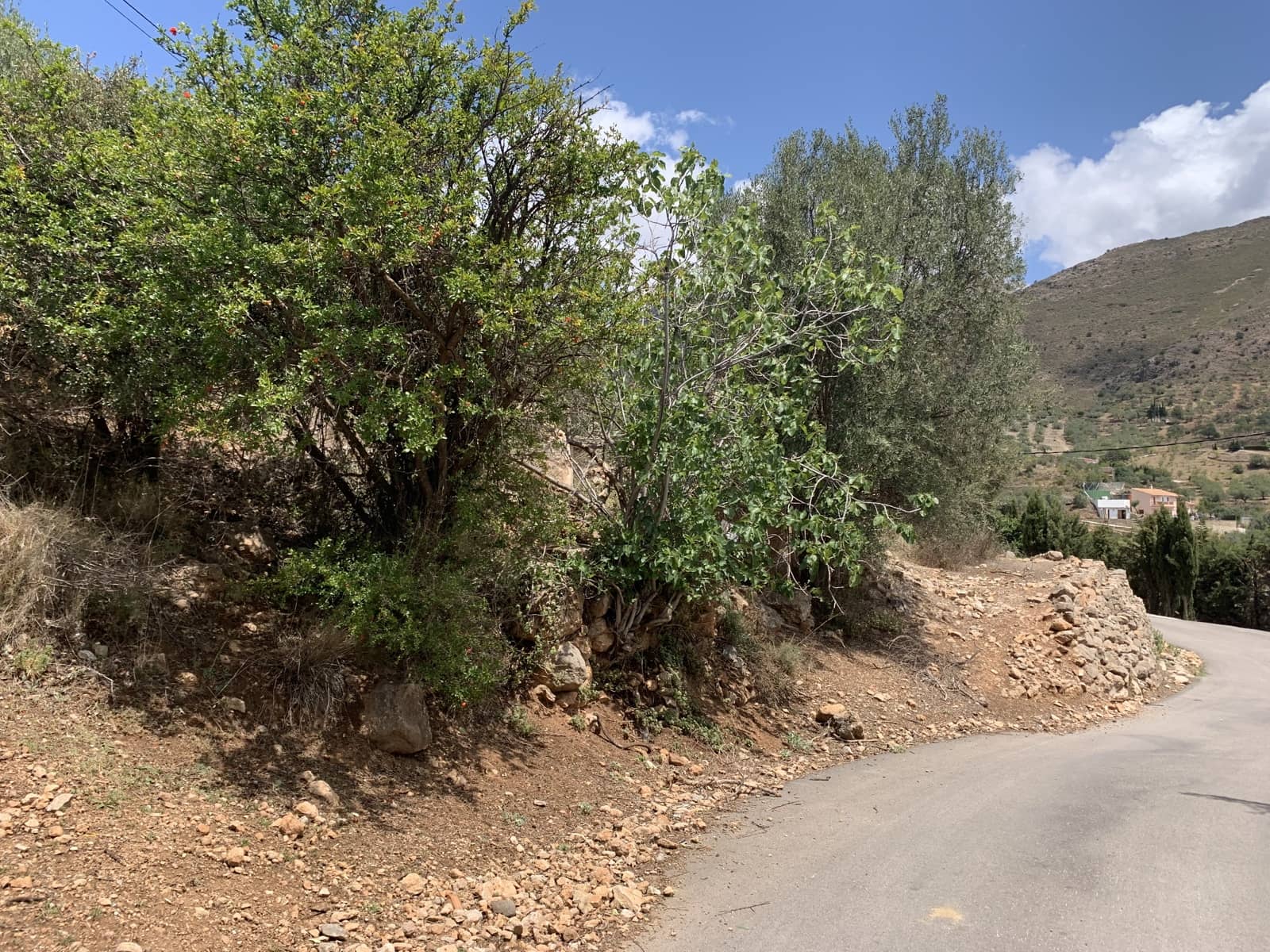 Ruína para venda em Alcaucin - 45 000 € (Ref: 9558858)