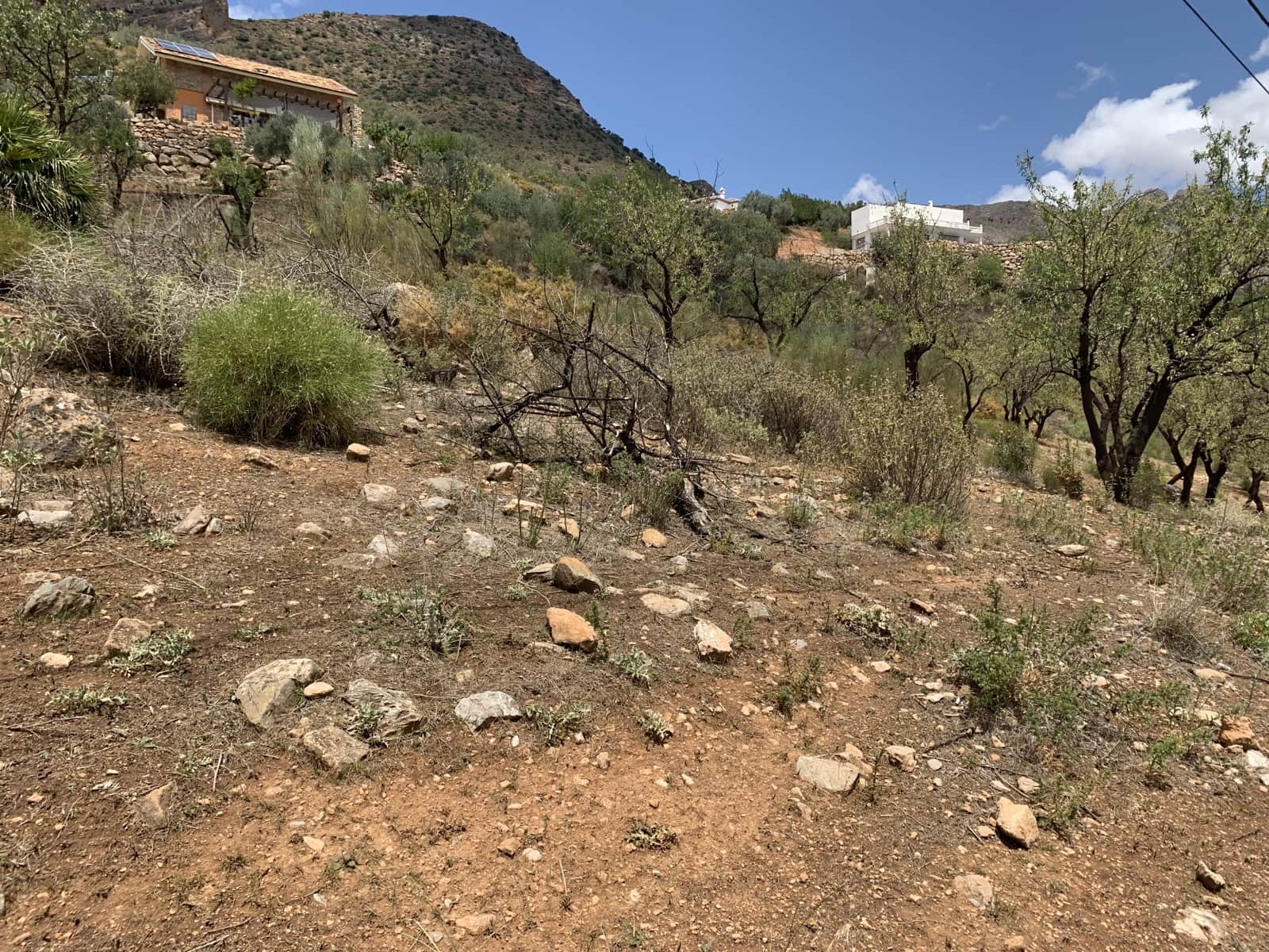 Ruína para venda em Alcaucin - 45 000 € (Ref: 9558858)