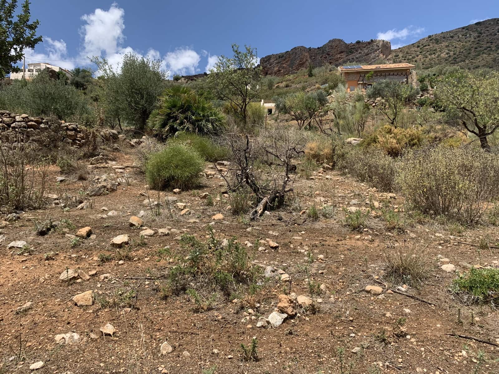 Ruína para venda em Alcaucin - 45 000 € (Ref: 9558858)