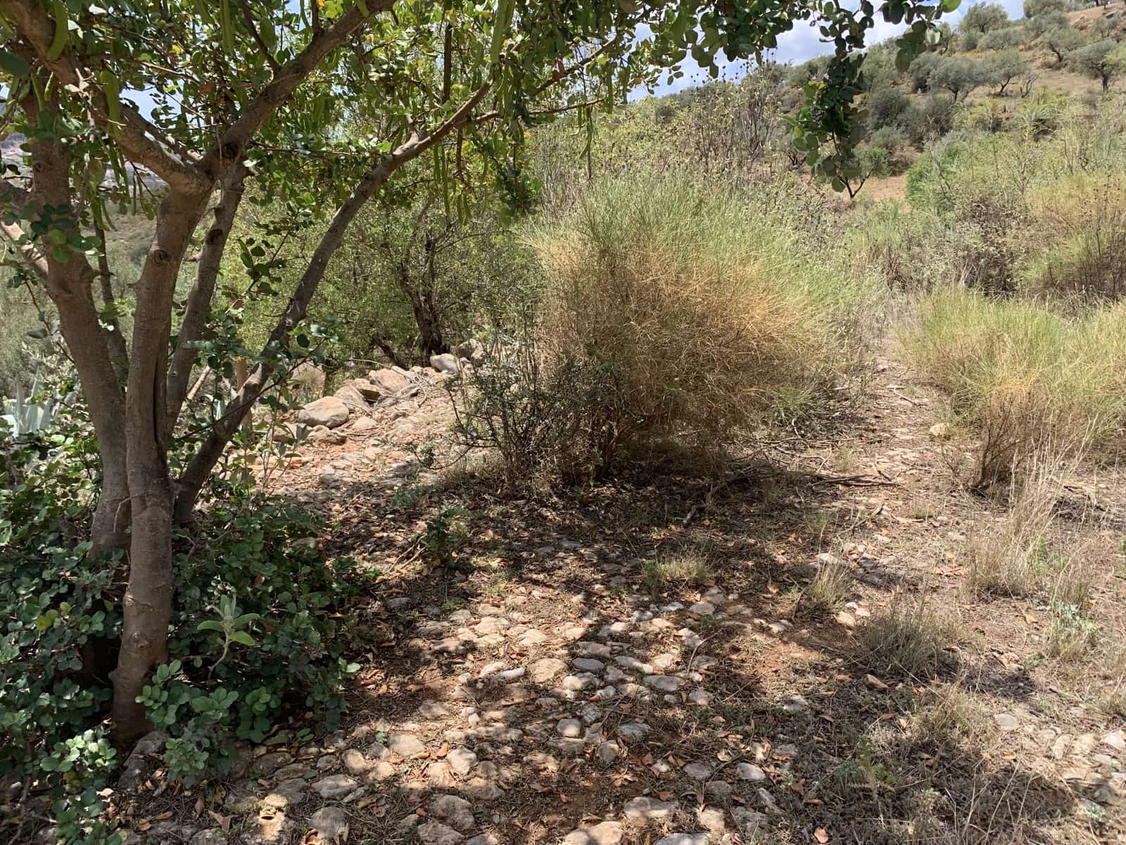 Ruína para venda em Alcaucin - 45 000 € (Ref: 9558858)