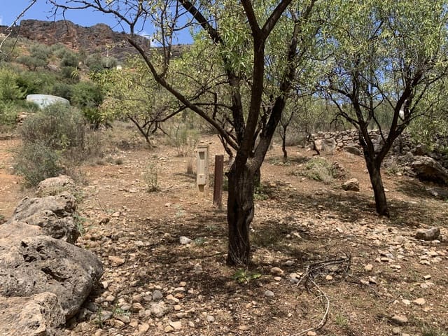 Ruína para venda em Alcaucín - 45 000 € (Ref: 9558858)