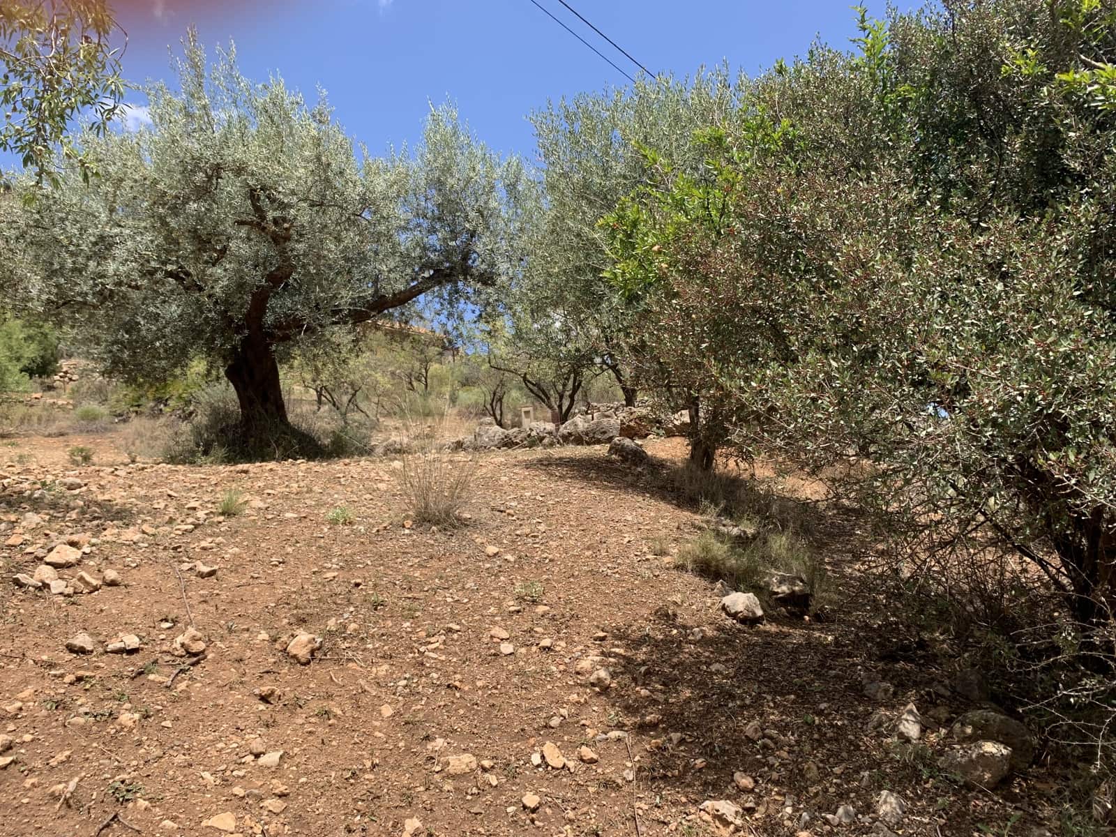 Ruína para venda em Alcaucin - 45 000 € (Ref: 9558858)