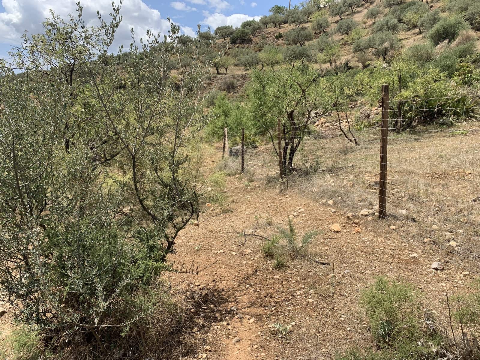 Ruína para venda em Alcaucin - 45 000 € (Ref: 9558858)