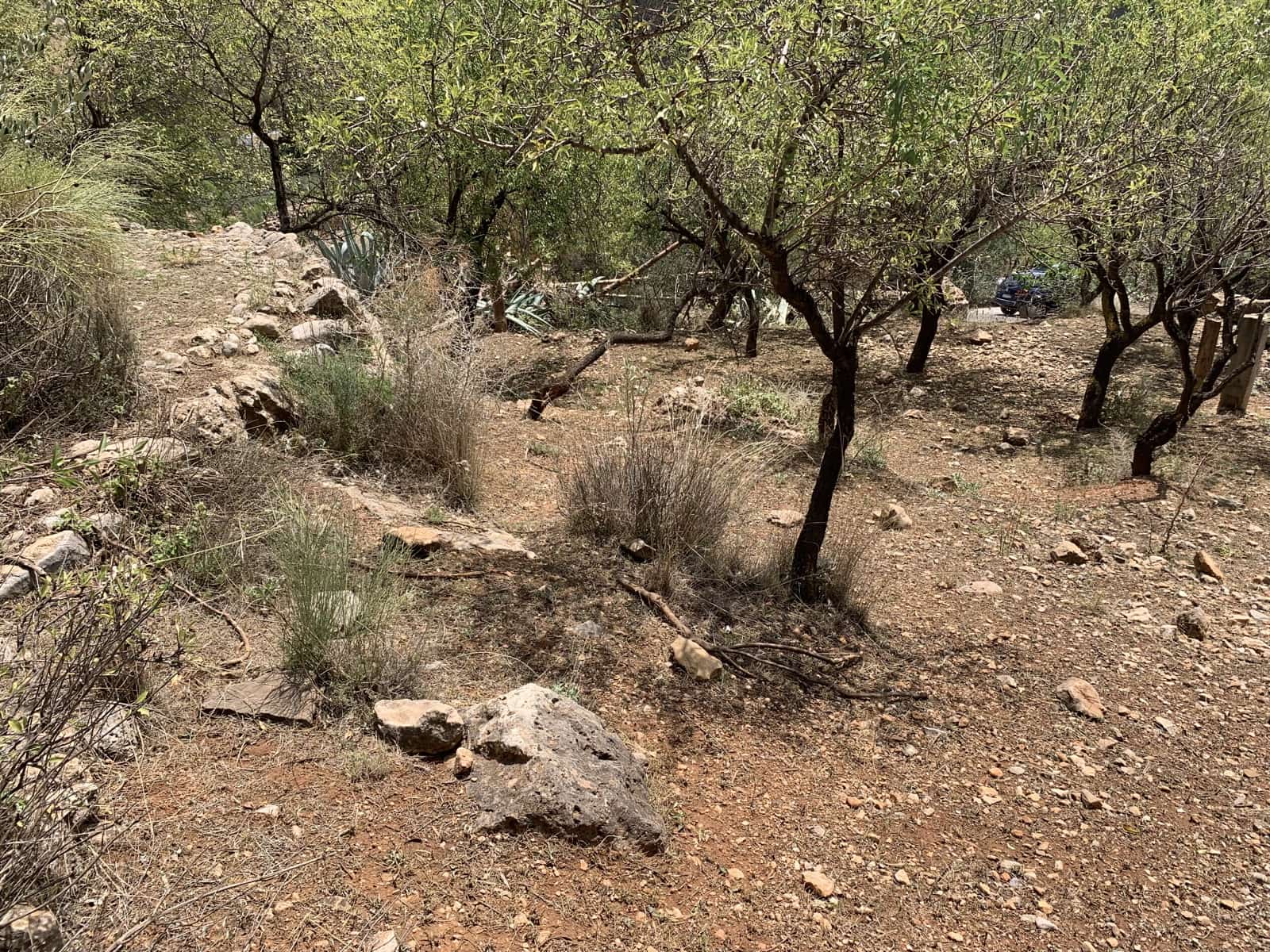 Ruína para venda em Alcaucin - 45 000 € (Ref: 9558858)