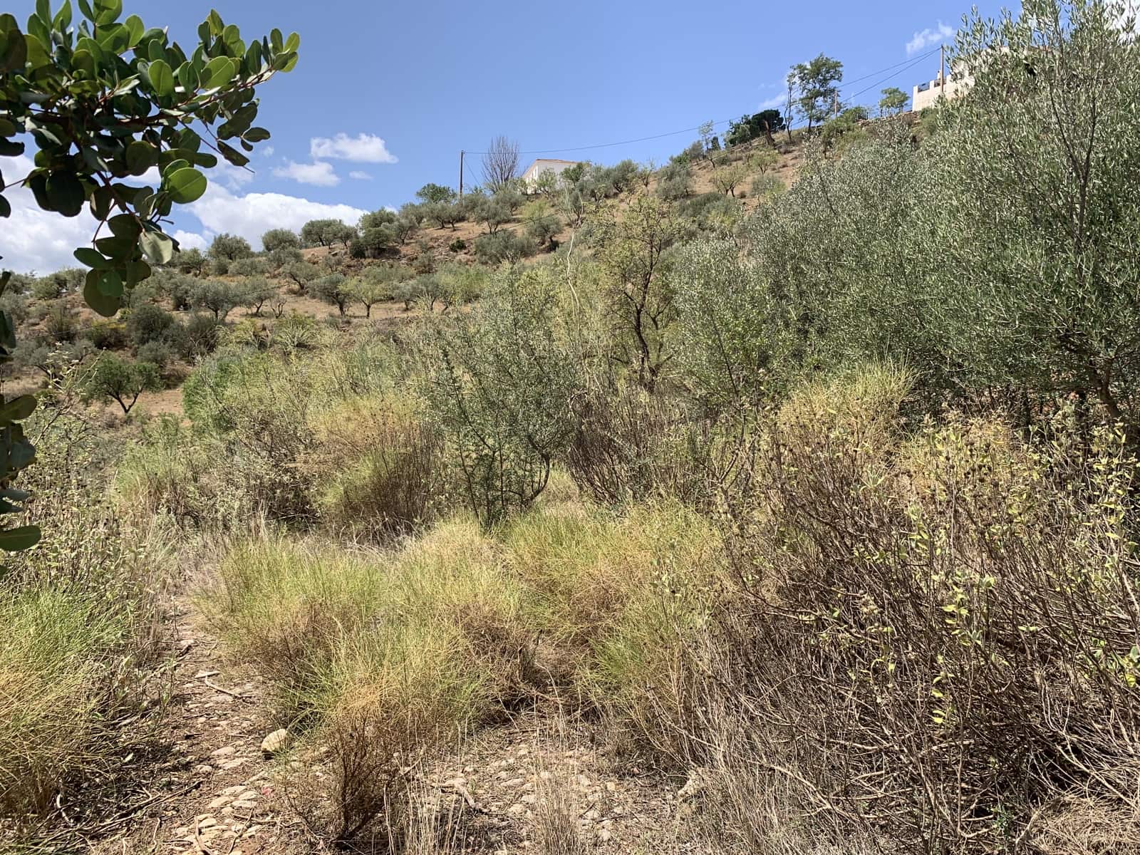 Ruína para venda em Alcaucin - 45 000 € (Ref: 9558858)