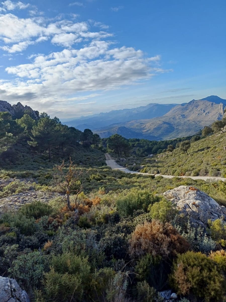 2 sovrum Villa till salu i Venta Baja med pool garage - 285 000 € (Ref: 9573966)