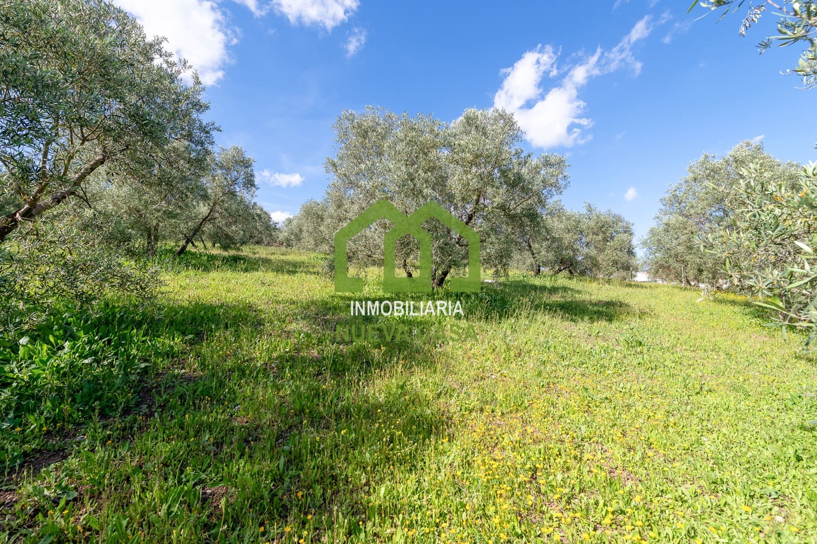 4 bedroom Villa for sale in Villanueva del Trabuco with garage - € 650,000 (Ref: 9848048)