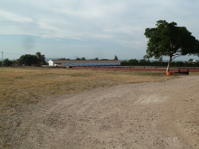 Finca/Landehus til salg i San Miguel de Salinas med garage - € 495.000 (Ref: 7886679)