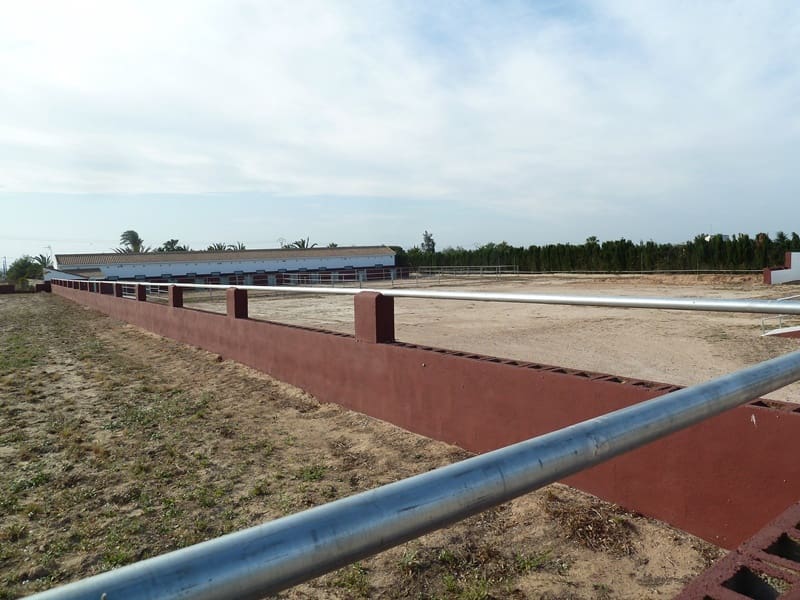 Finca/Landehus til salg i San Miguel de Salinas med garage - € 495.000 (Ref: 7886679)