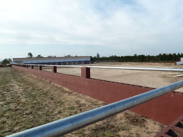 Finca/Landehus til salg i San Miguel de Salinas med garage - € 495.000 (Ref: 7886679)