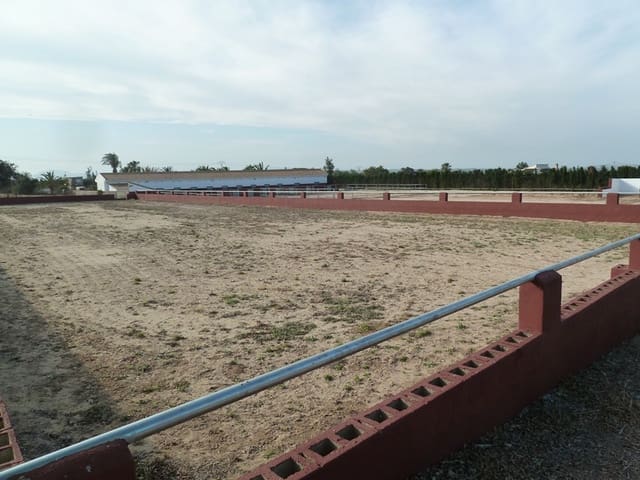 Finca/Landehus til salg i San Miguel de Salinas med garage - € 495.000 (Ref: 7886679)